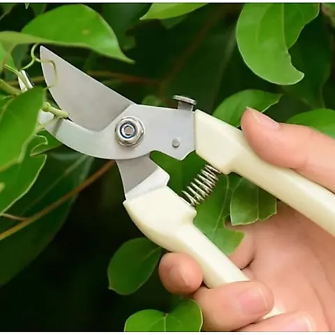 Foto do anúncio: Tesoura De Poda 17,5cm Cabo De Plástico Ponta De Metal Para Jardinagem Plantas 15694